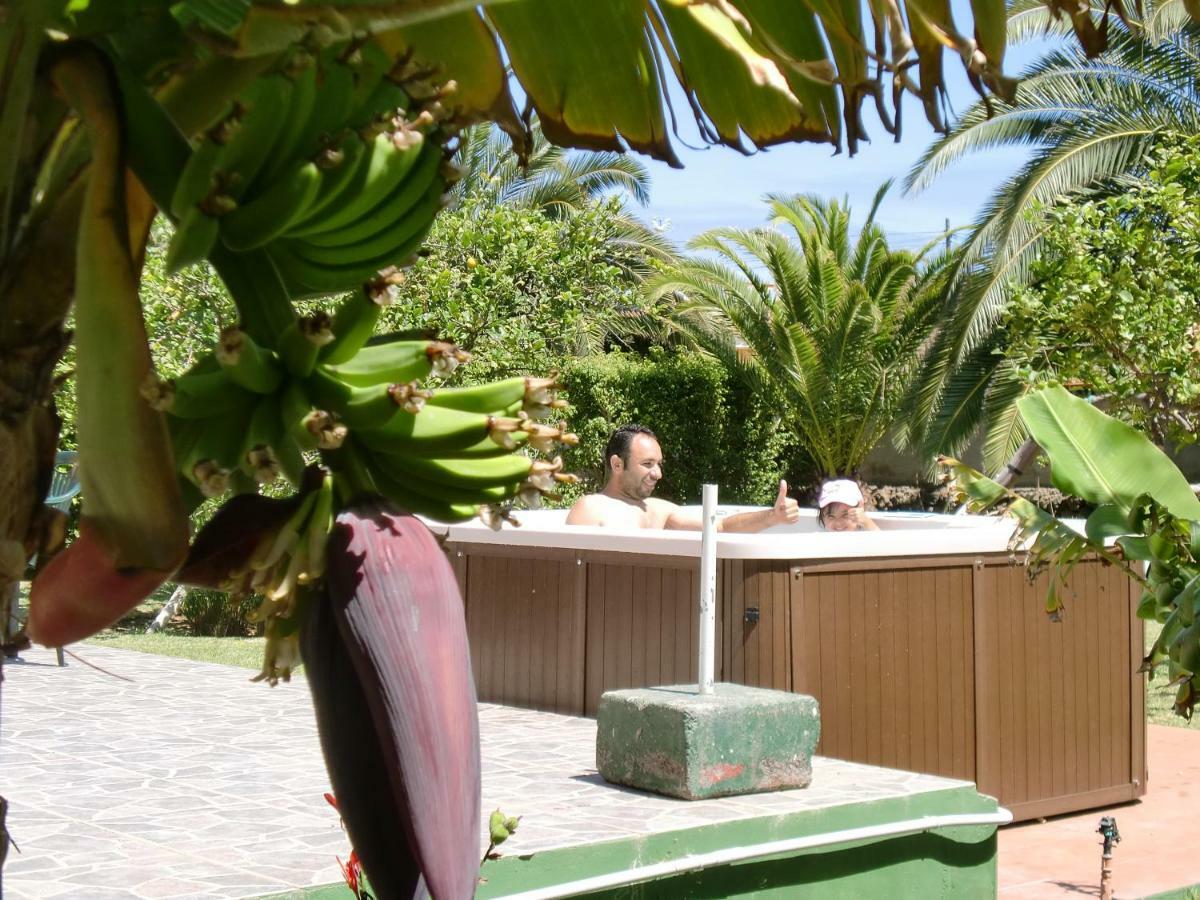 Finca La Gaviota - Los Limoneros อิคอดเดลอสวินอส ภายนอก รูปภาพ