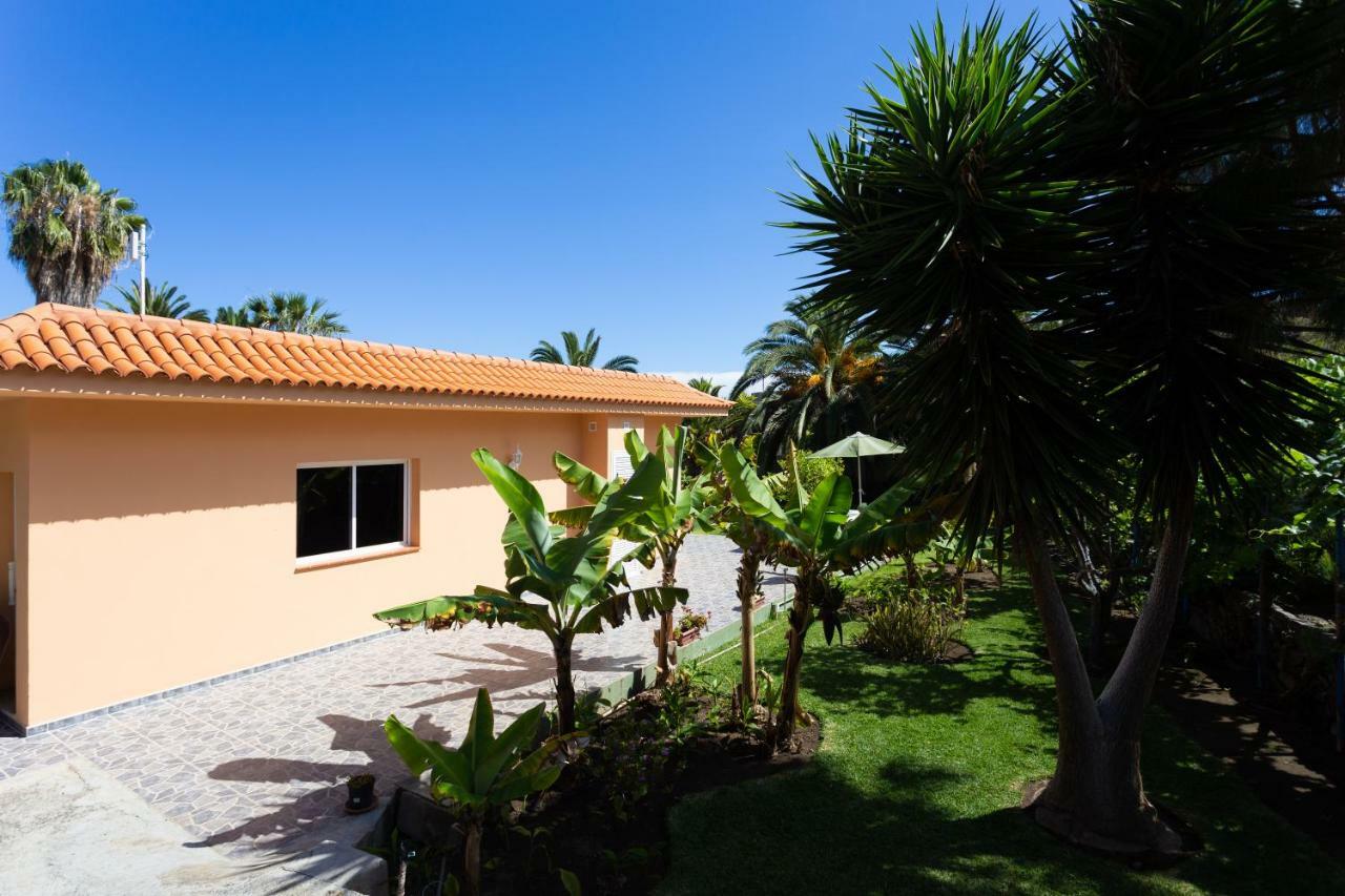 Finca La Gaviota - Los Limoneros อิคอดเดลอสวินอส ภายนอก รูปภาพ