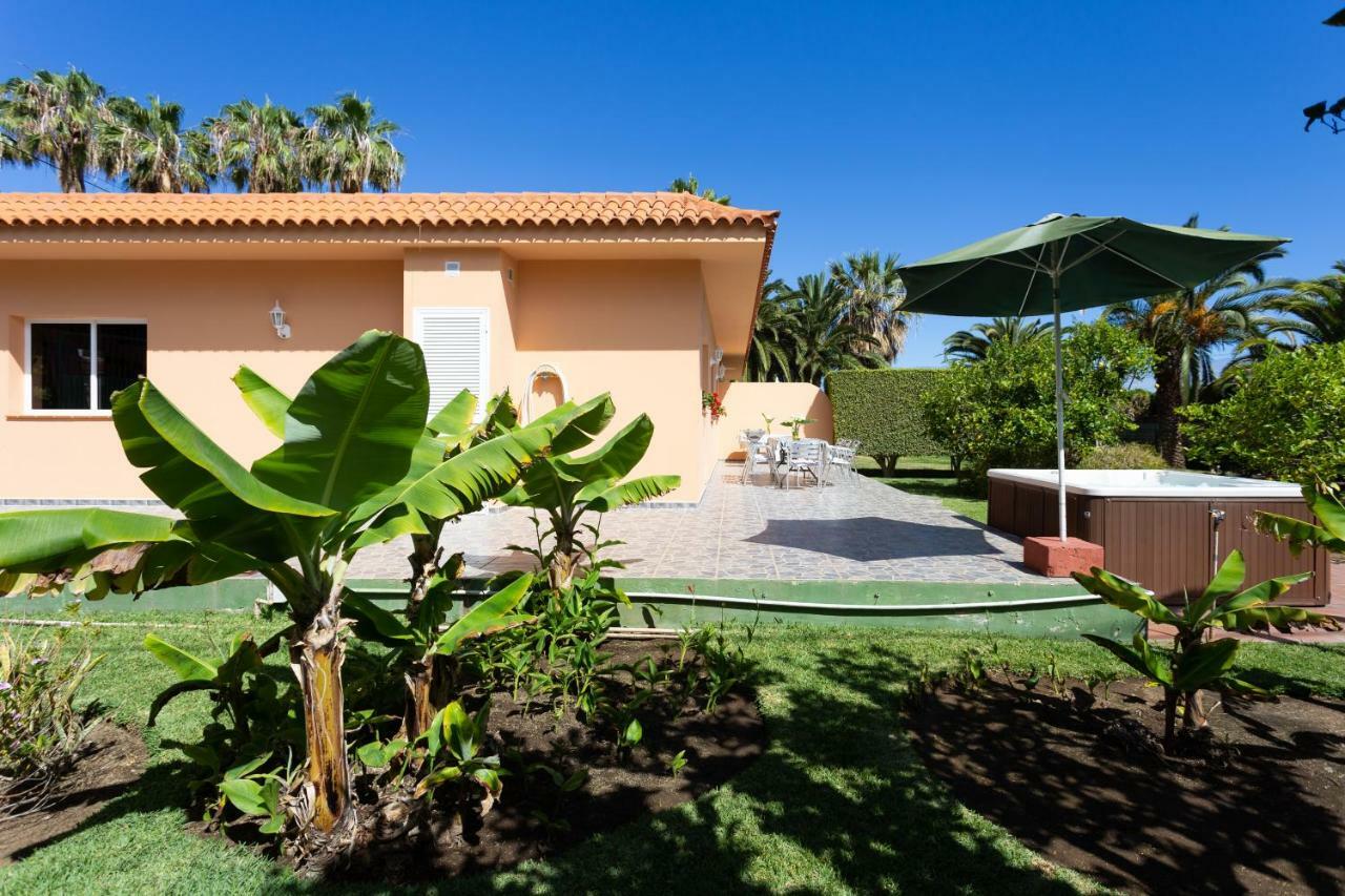 Finca La Gaviota - Los Limoneros อิคอดเดลอสวินอส ภายนอก รูปภาพ
